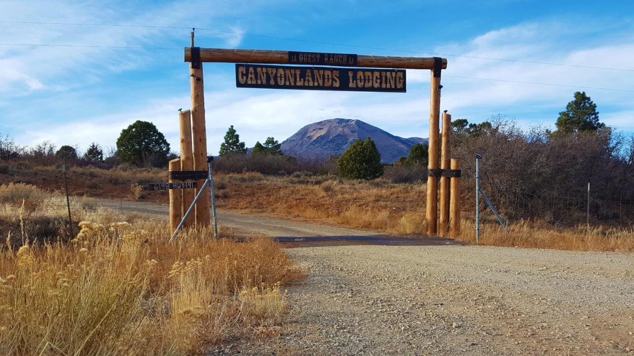 Ranch Mountain Cabin, Stunning! Campfire, Hiking Monticello Exterior foto